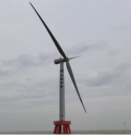 抗擊臺風的“白色戰士”，電氣風電打造！